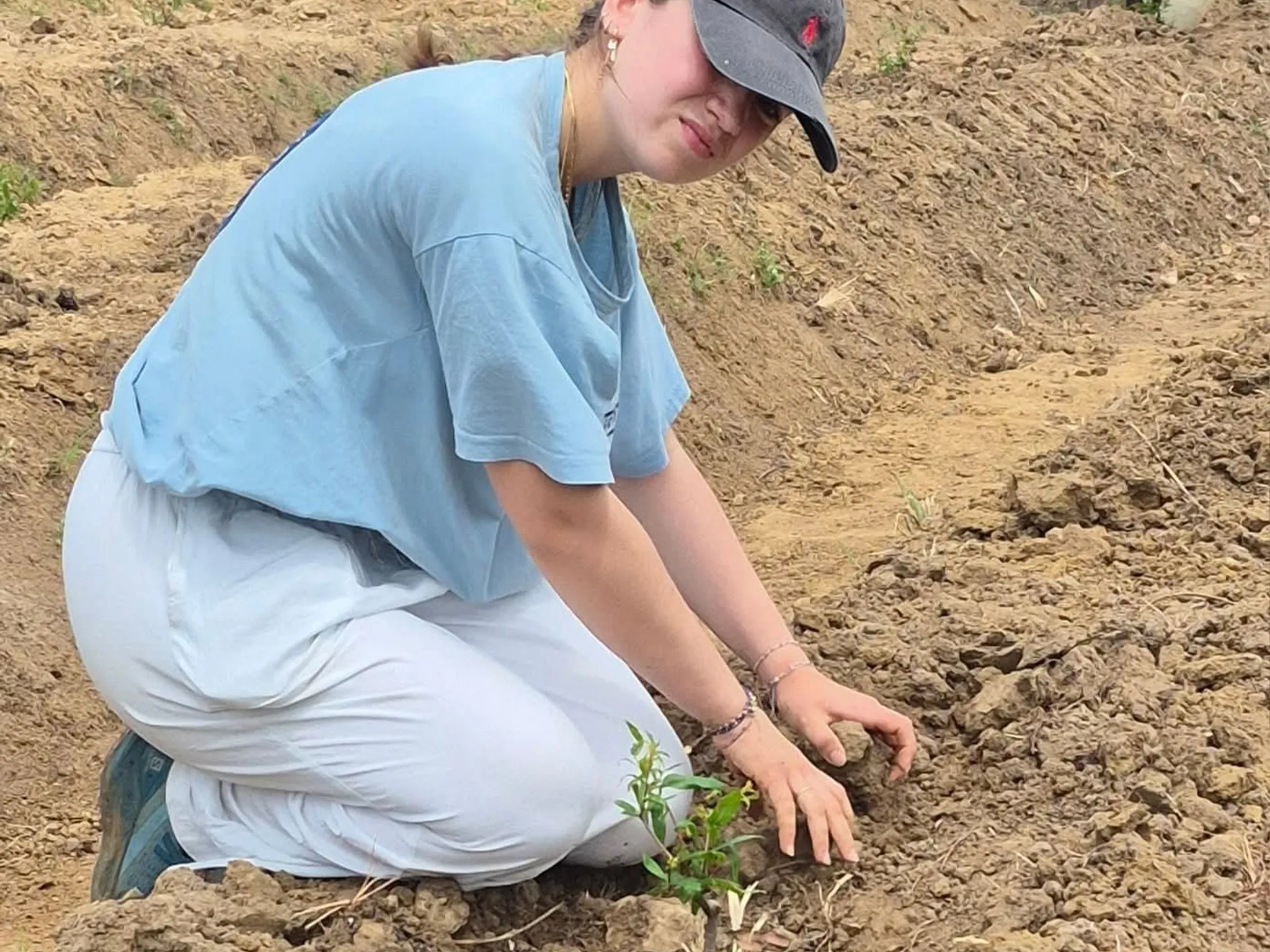 Foreign student participating in sustainable farming internship program
