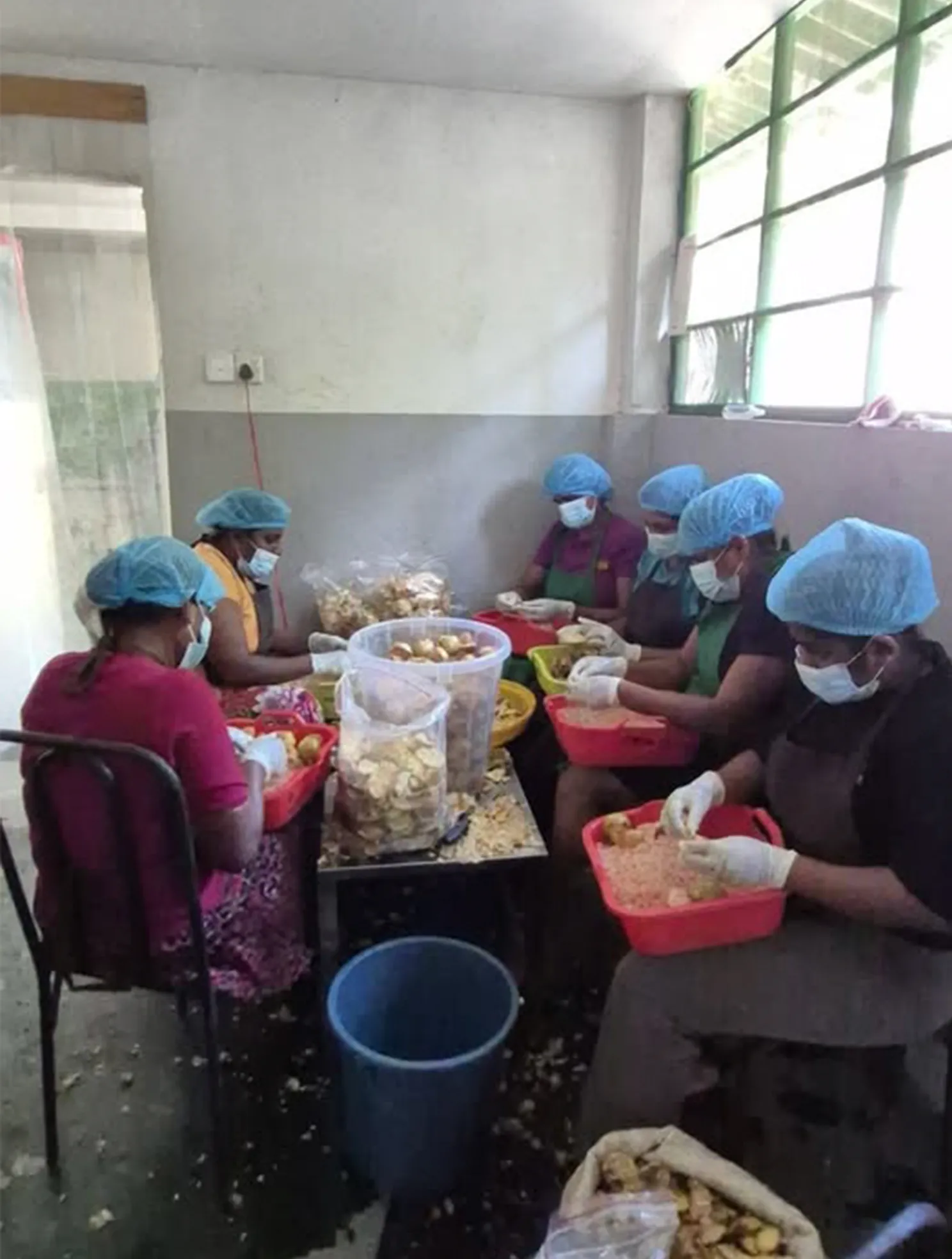 Production team preparing natural ingredients in hygienic food processing facility